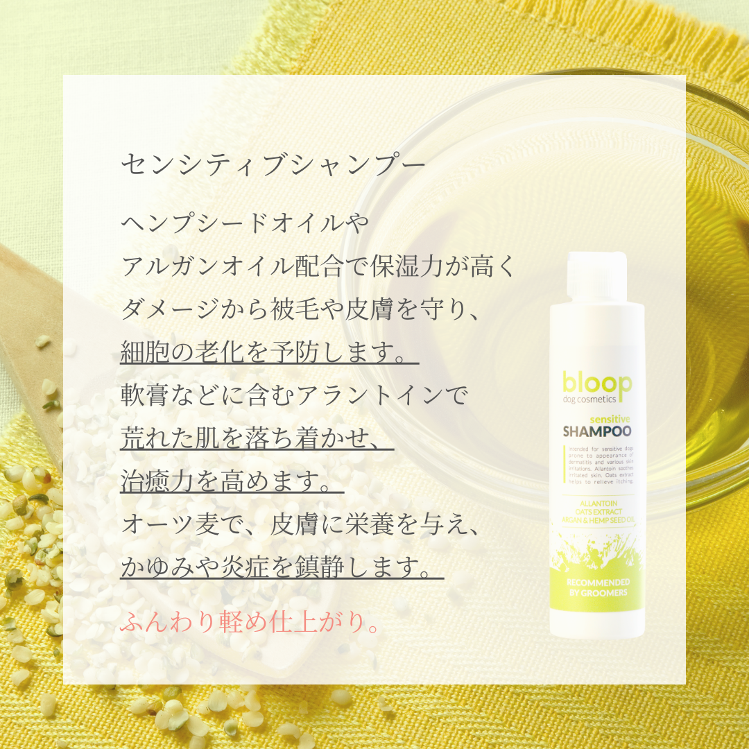 皮膚ケアトライアルセット<送料無料>