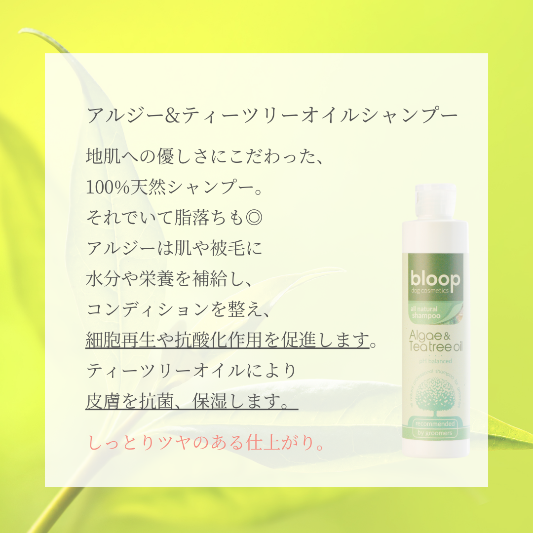 サラ艶アップトライアルセット<送料無料>