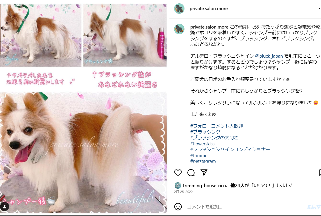 フラッシュシャイン