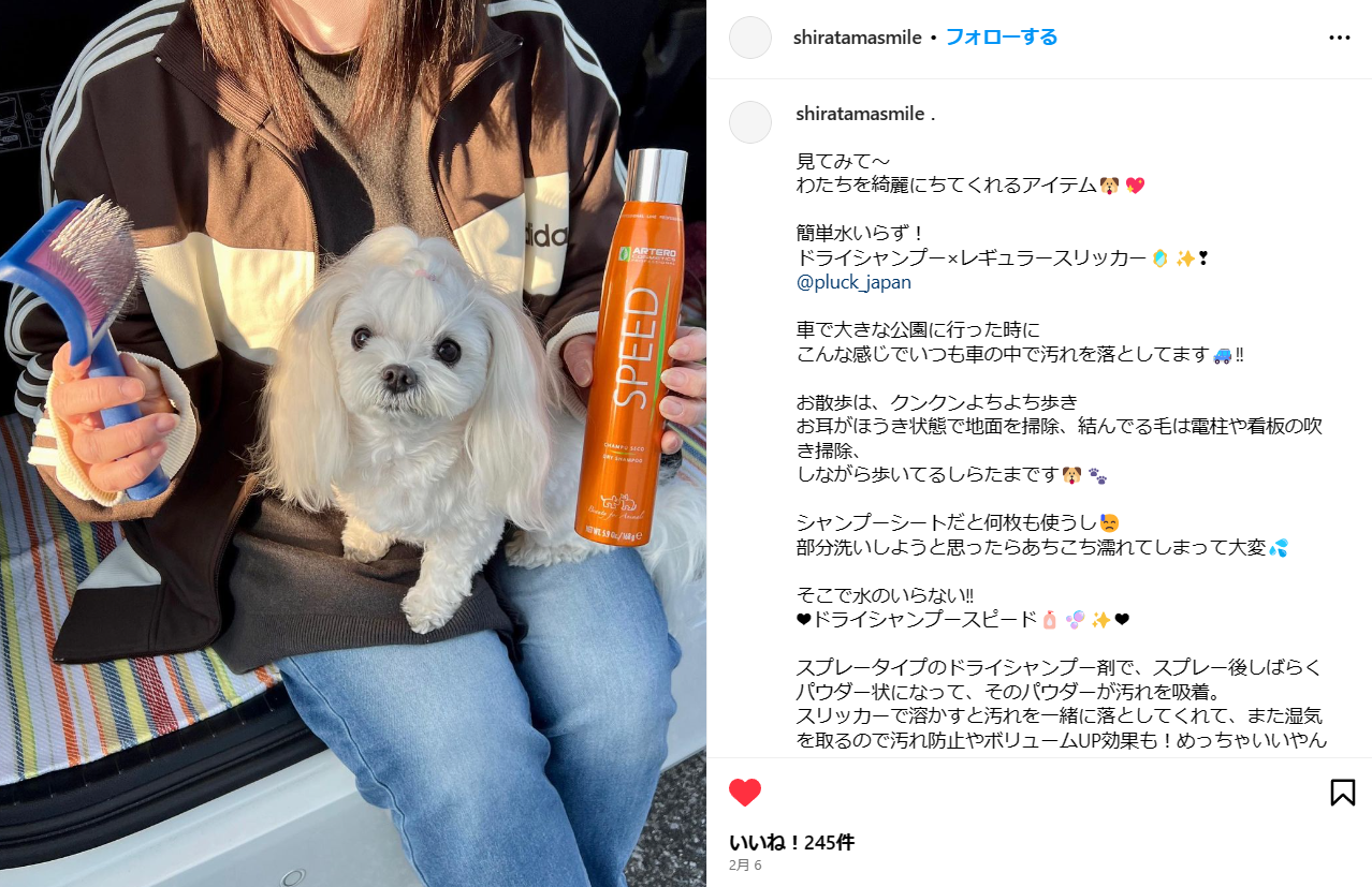 ドライシャンプースピード