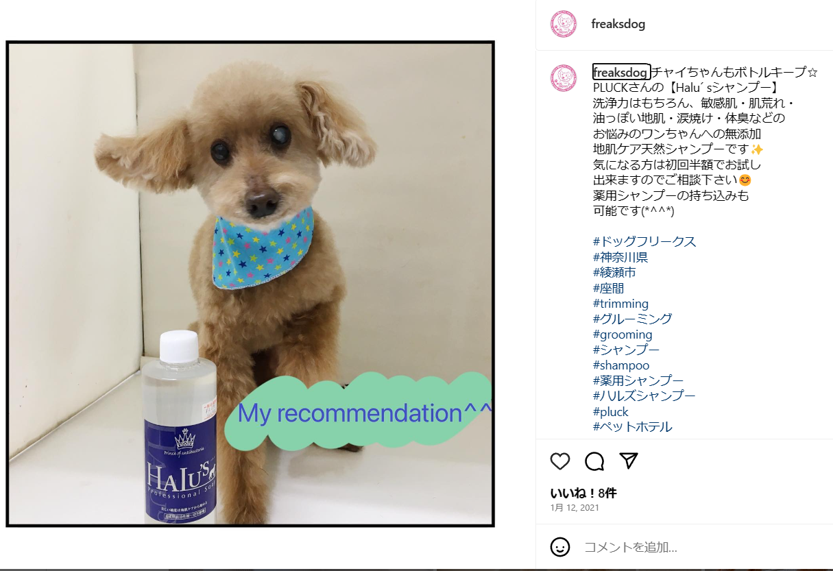 ハルズダーマルケアシャンプー