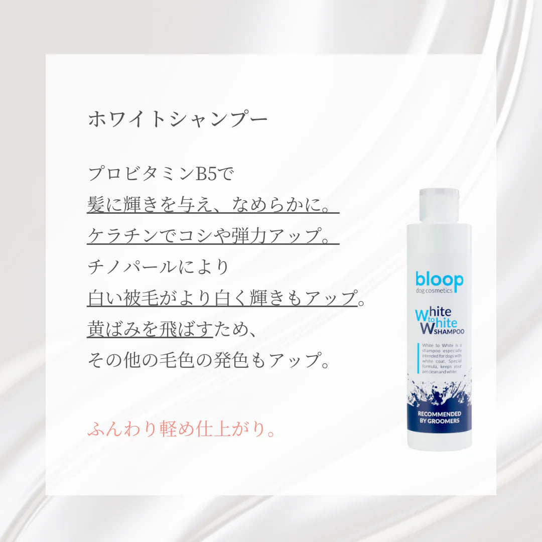 ランズOKシャンプートライアルセット<送料無料>