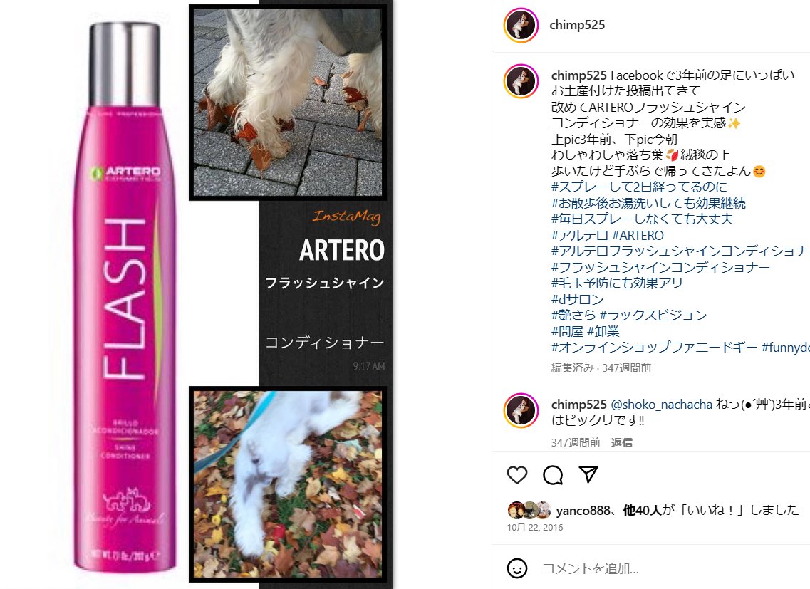 フラッシュシャイン