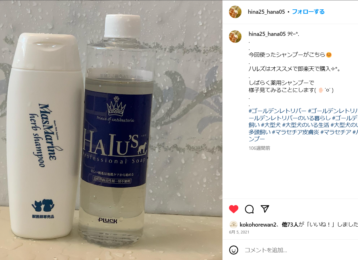 ハルズダーマルケアシャンプー