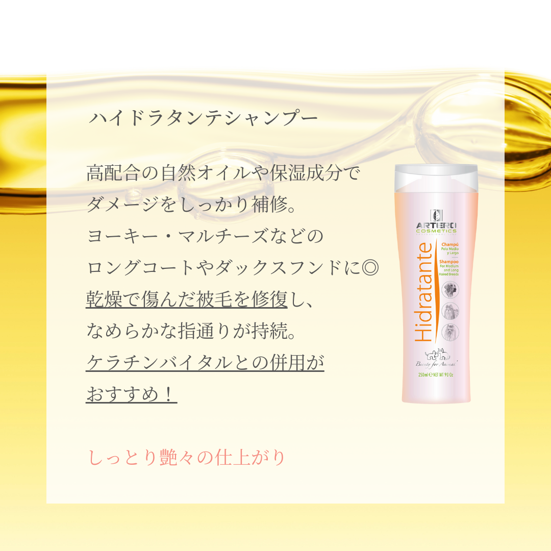 ARTEROトライアルセット<送料無料>