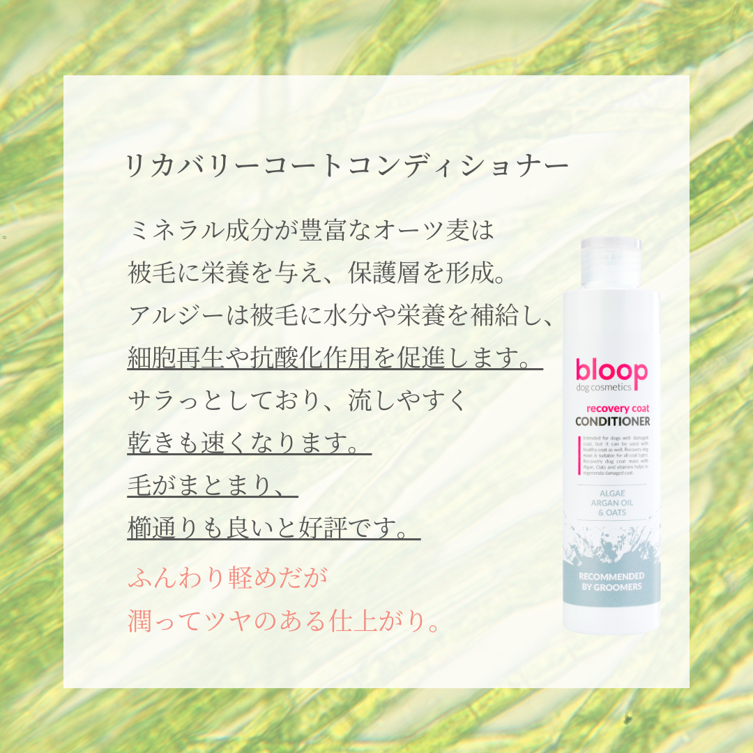 bloopトライアルセット<送料無料>