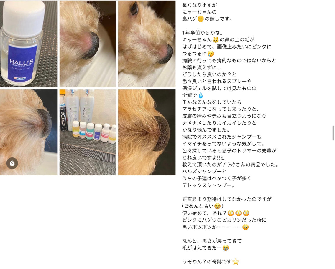 ハルズダーマルケアシャンプー