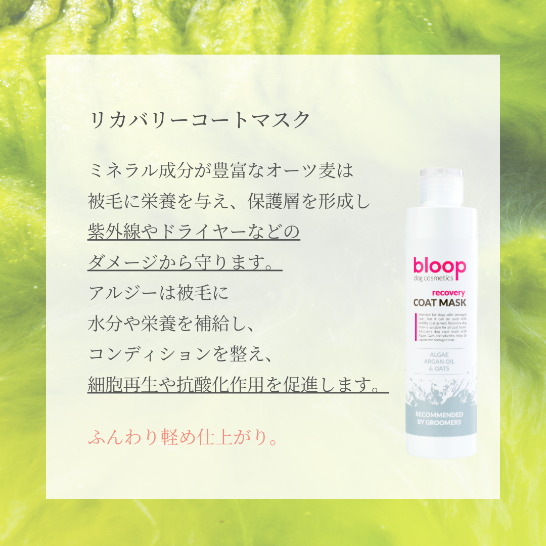 リカバリーコートマスク