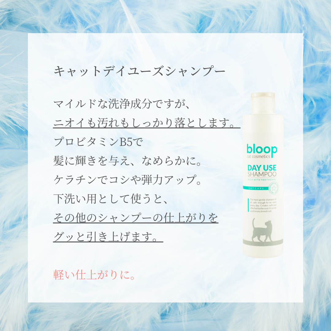 キャットデイユーズシャンプー