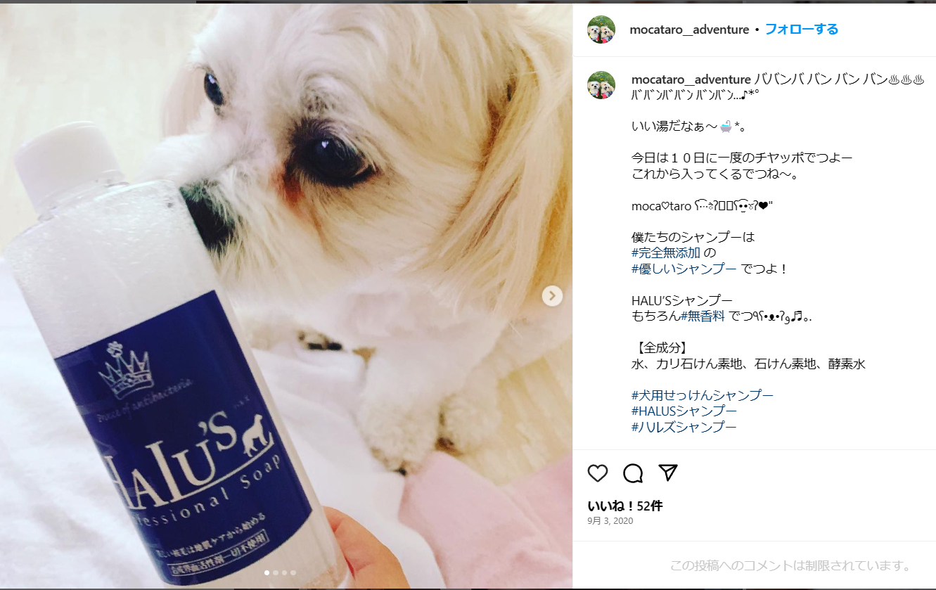 ハルズダーマルケアシャンプー