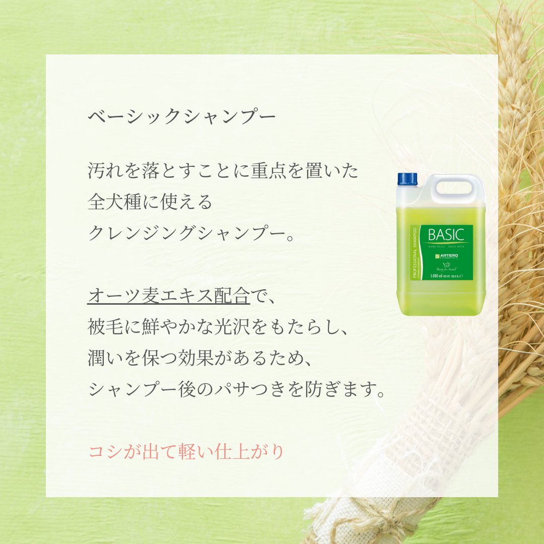 ベーシックシャンプー
