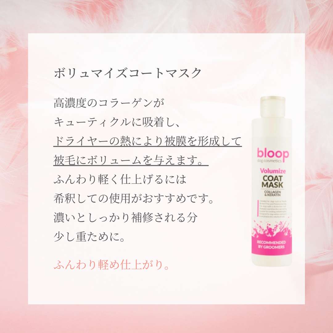 ボリュームアップトライアルセット<送料無料>