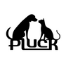 PLUCK