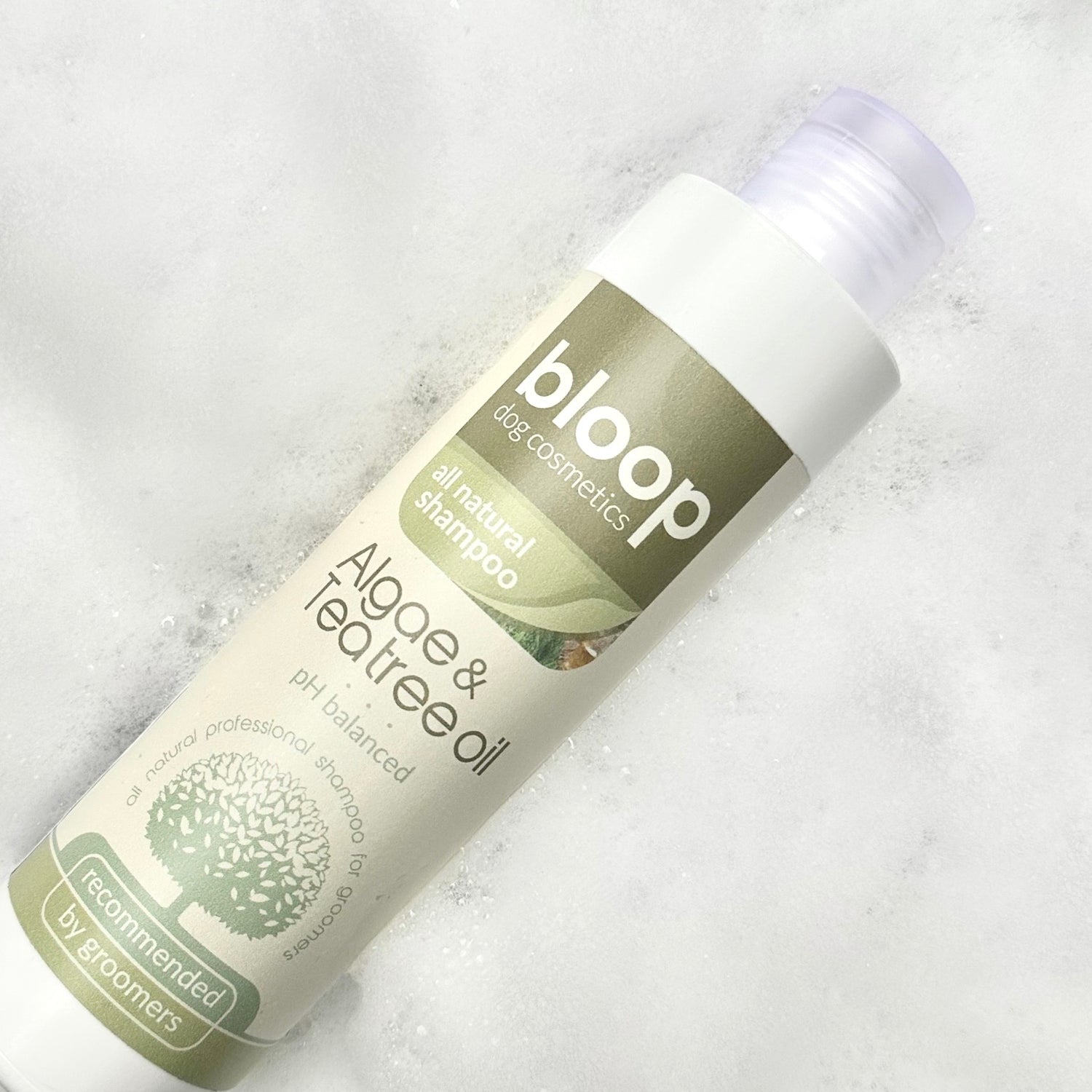 アルジー&ティーツリーオイルシャンプー