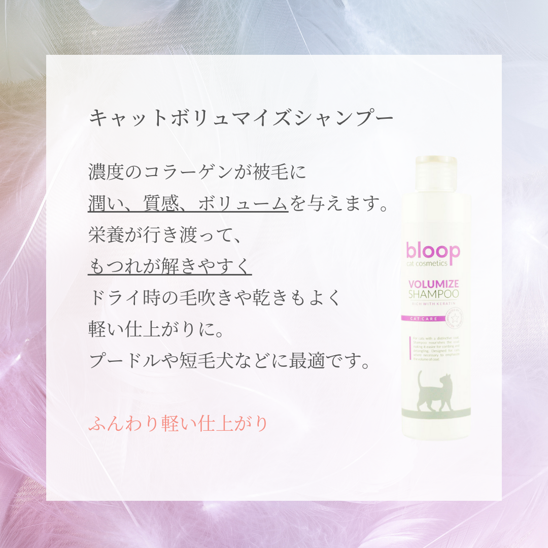 キャットボリュマイズシャンプー