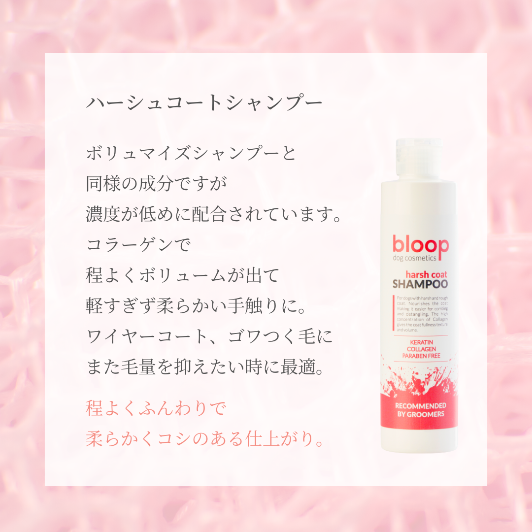 ハーシュコートシャンプー