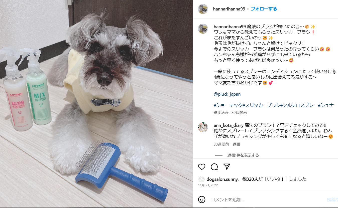 SHOWTECH スリッカー ソフト