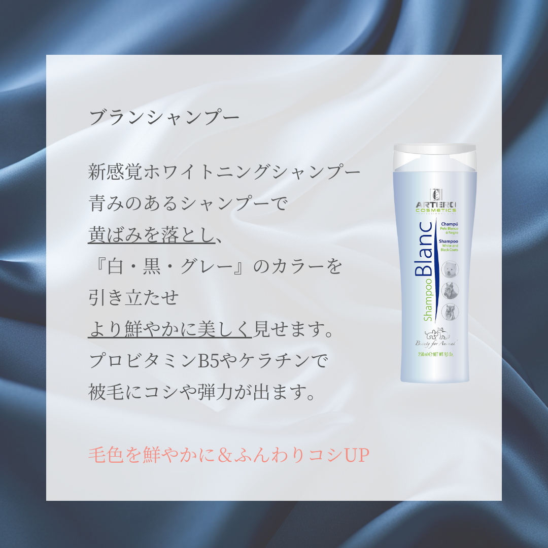 ブランシャンプー