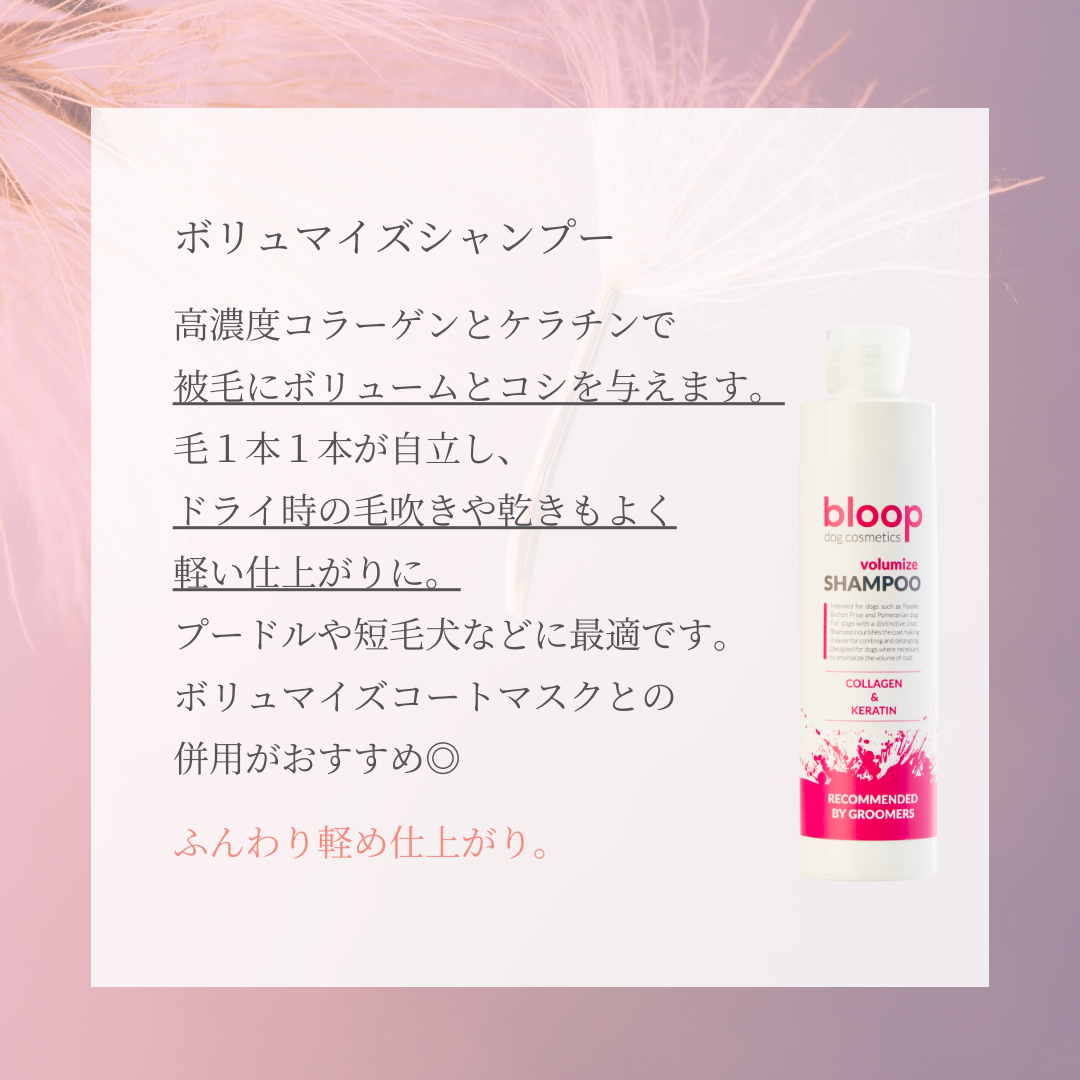 ボリュマイズシャンプー