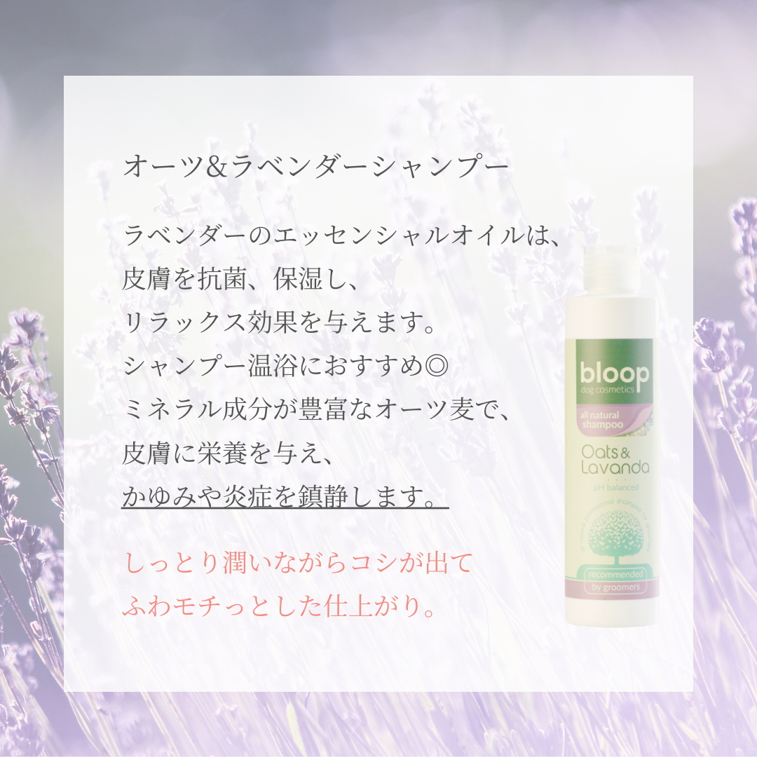 オーツ&ラベンダーシャンプー