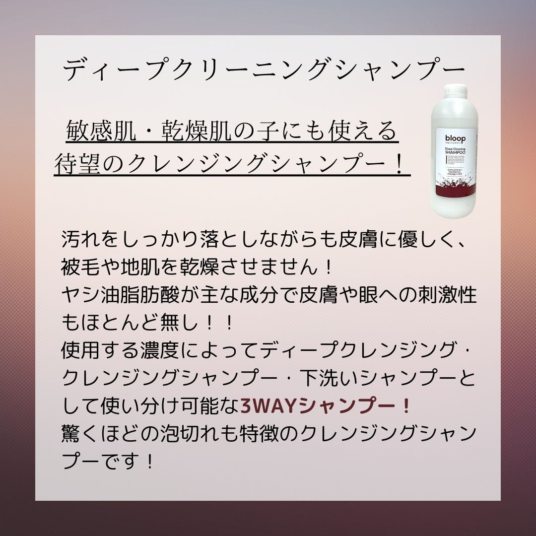 bloopトライアルセット<送料無料>