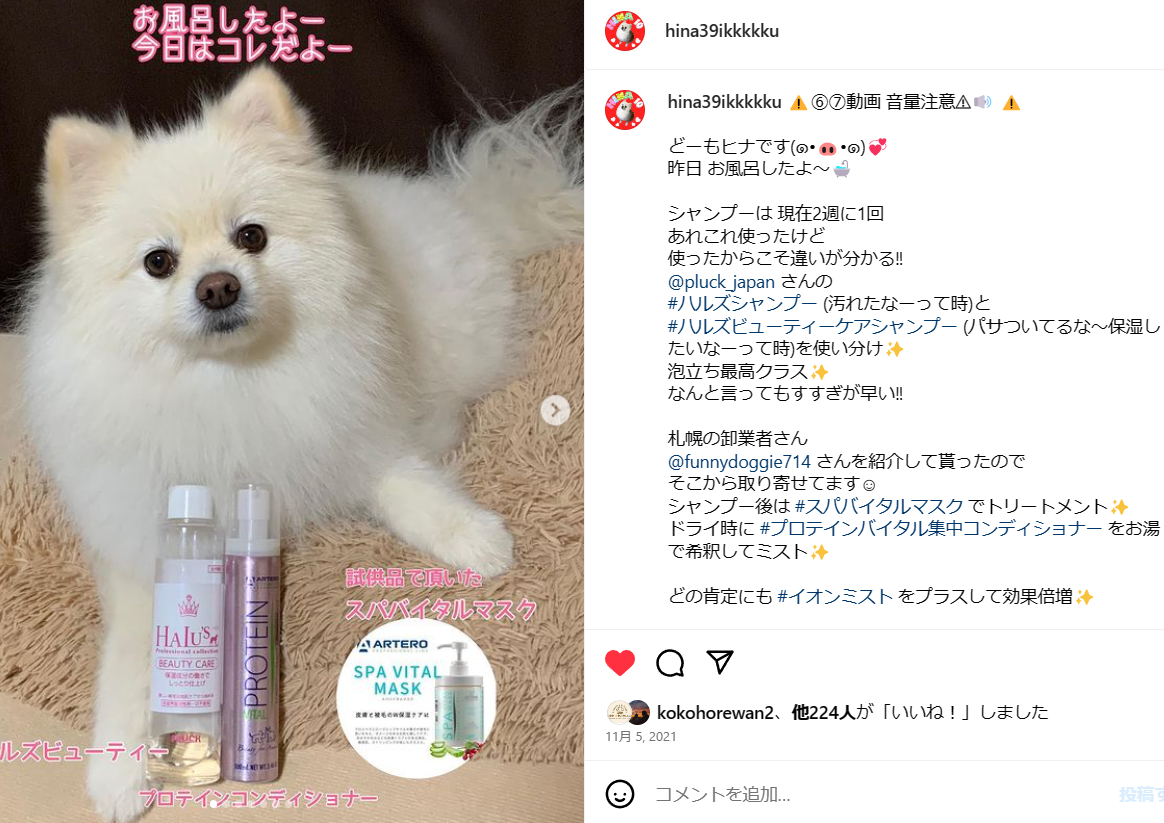 ハルズビューティーケアシャンプー