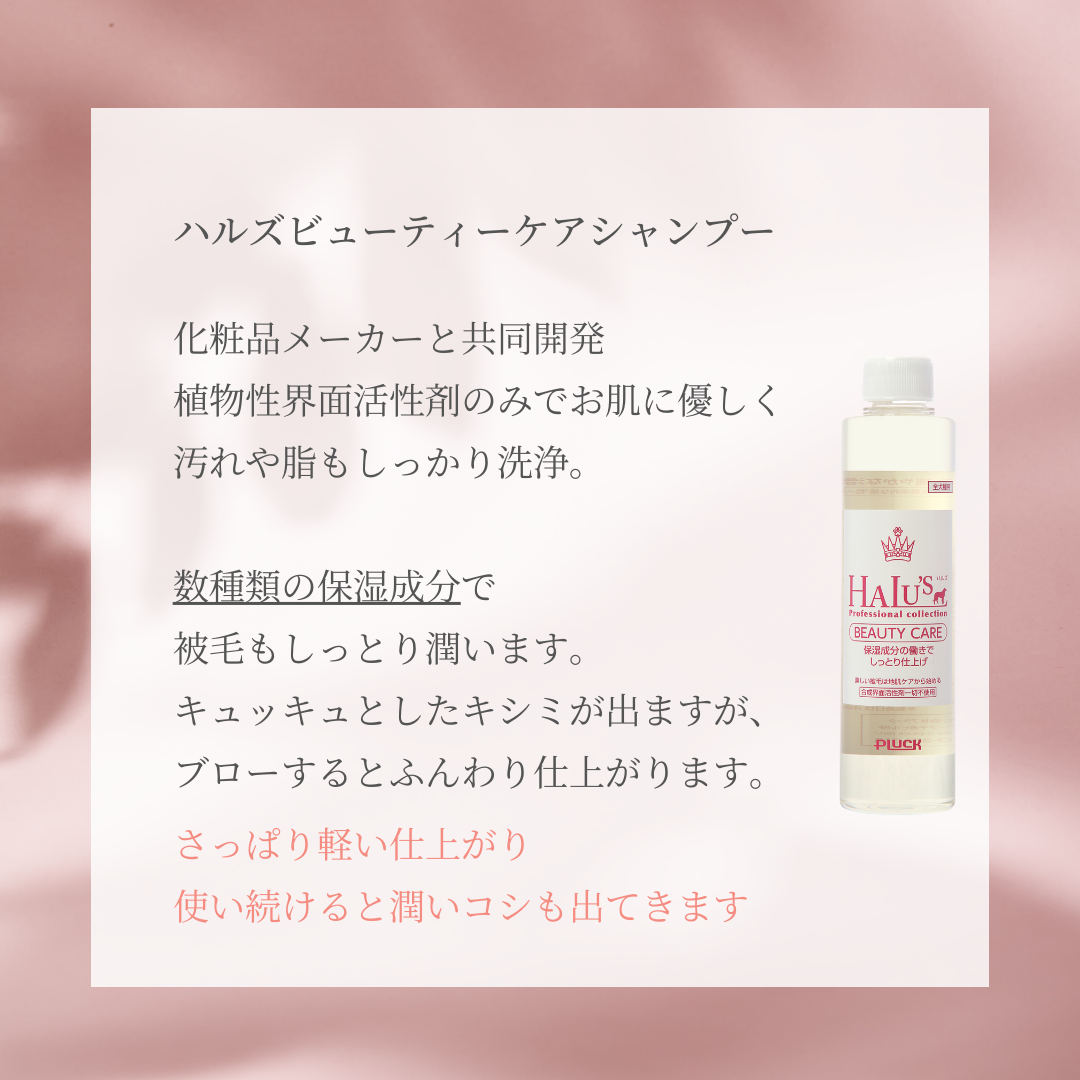 ハルズビューティーケアシャンプー
