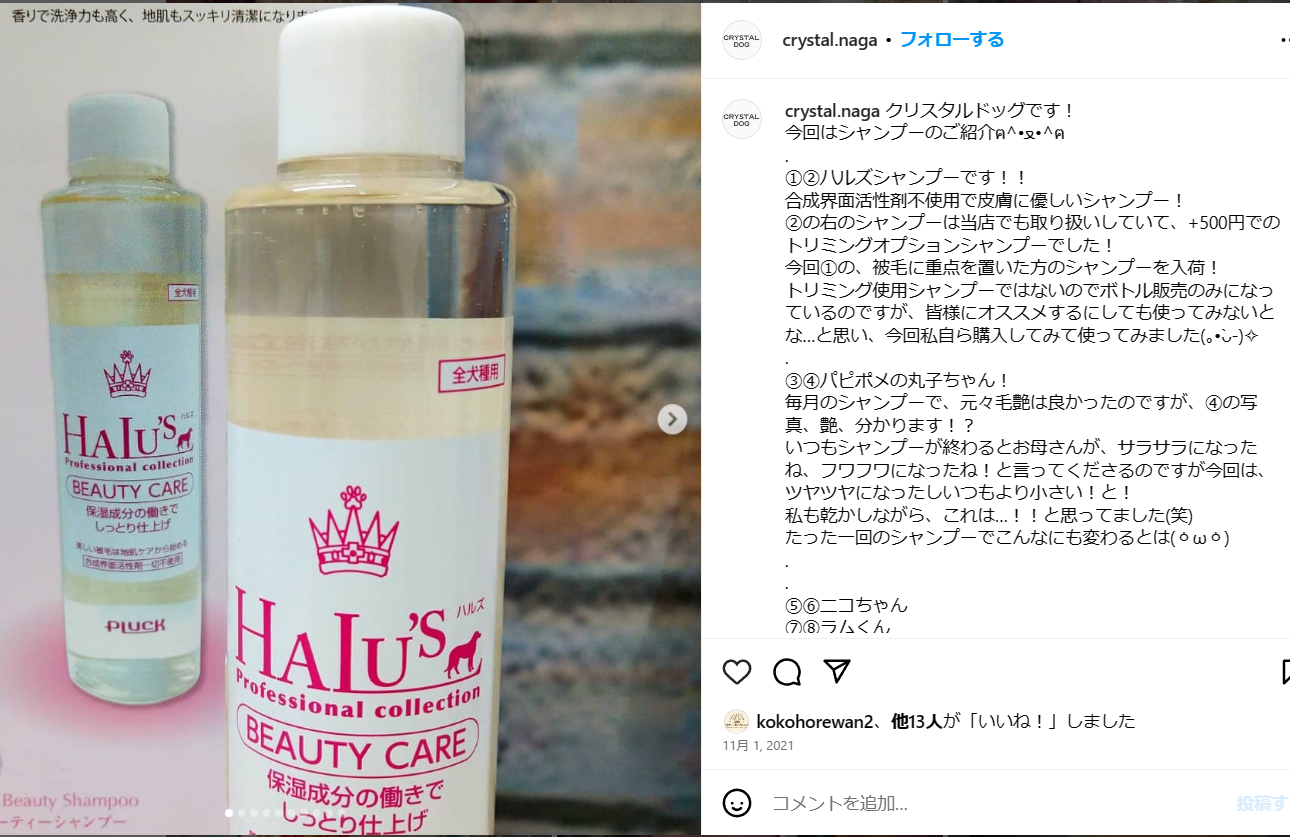 ハルズビューティーケアシャンプー