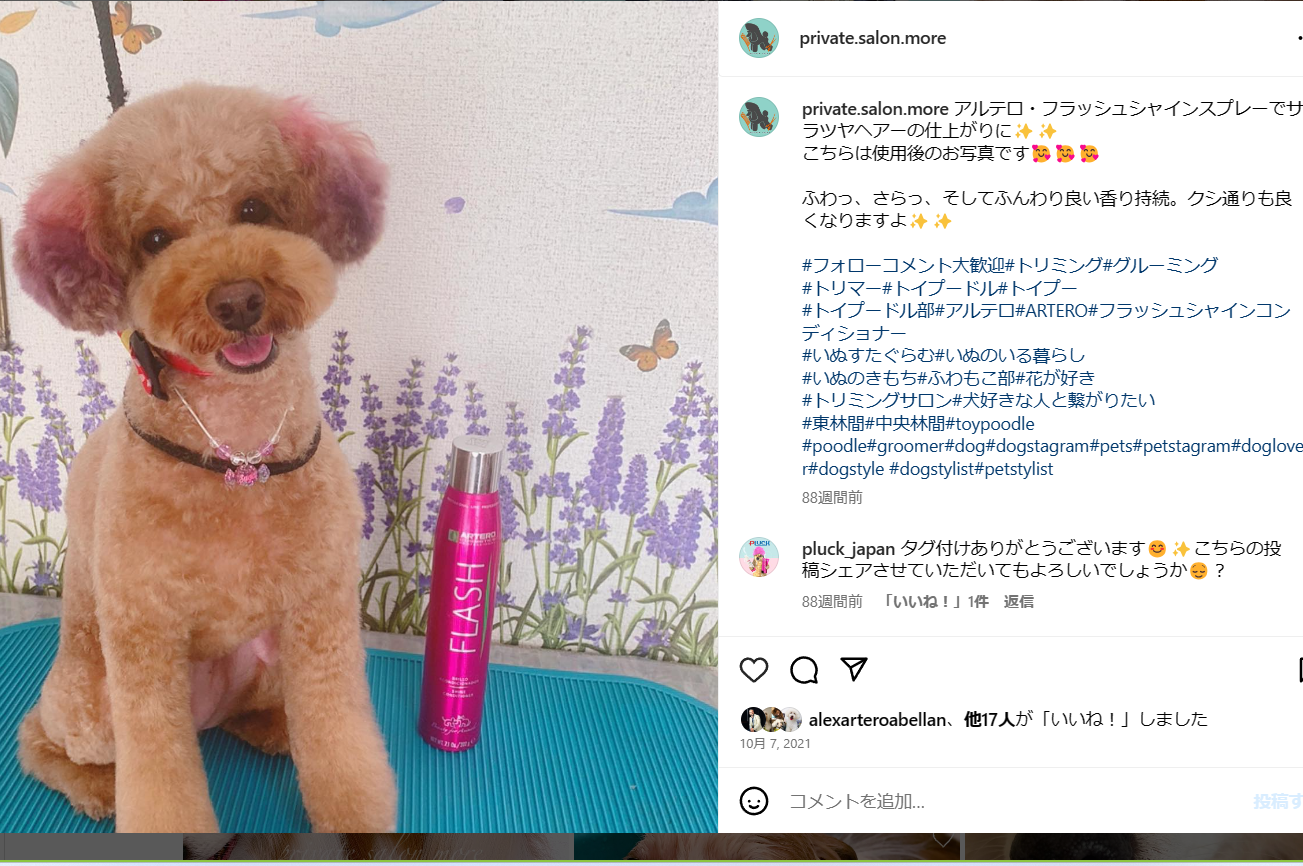 フラッシュシャイン