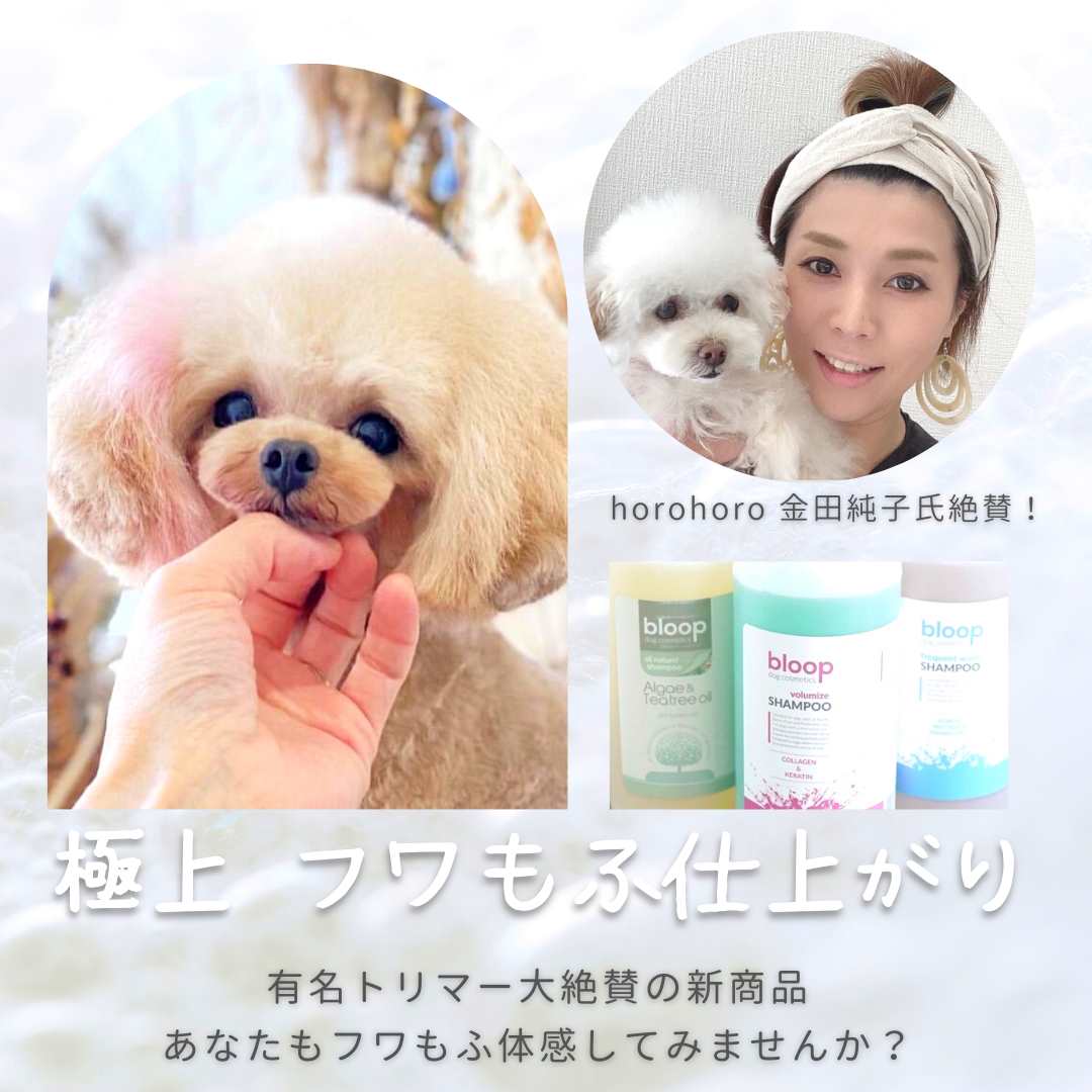 ホワイトシャンプー