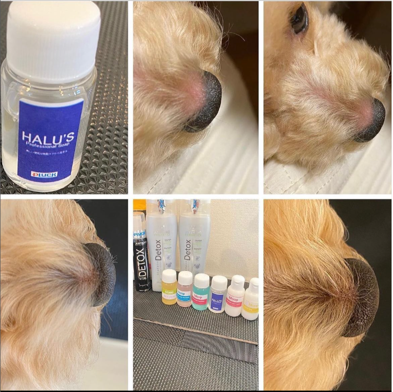 皮膚ケアトライアルセット<送料無料>