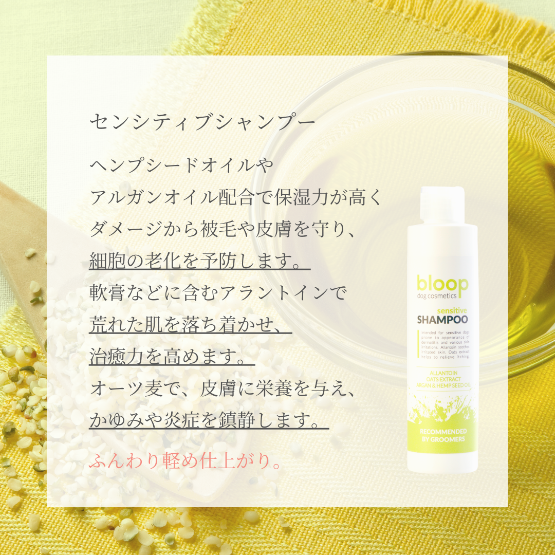 センシティブシャンプー