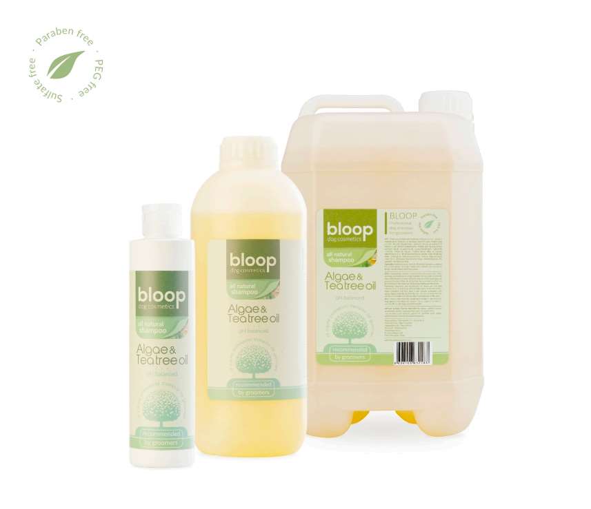 アルジー&ティーツリーオイルシャンプー