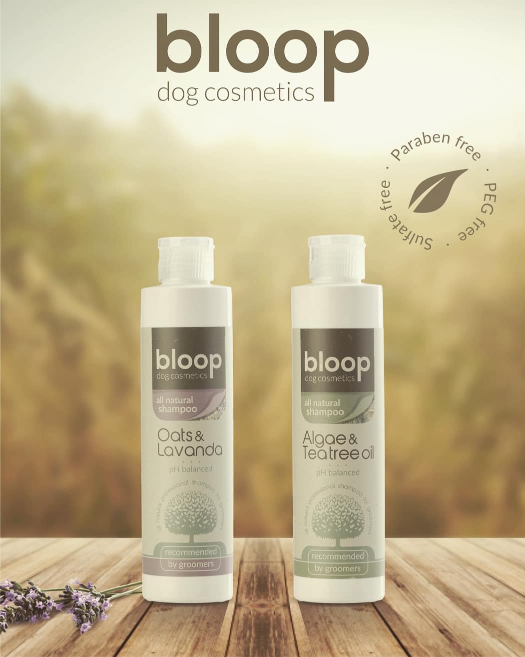 アルジー&ティーツリーオイルシャンプー