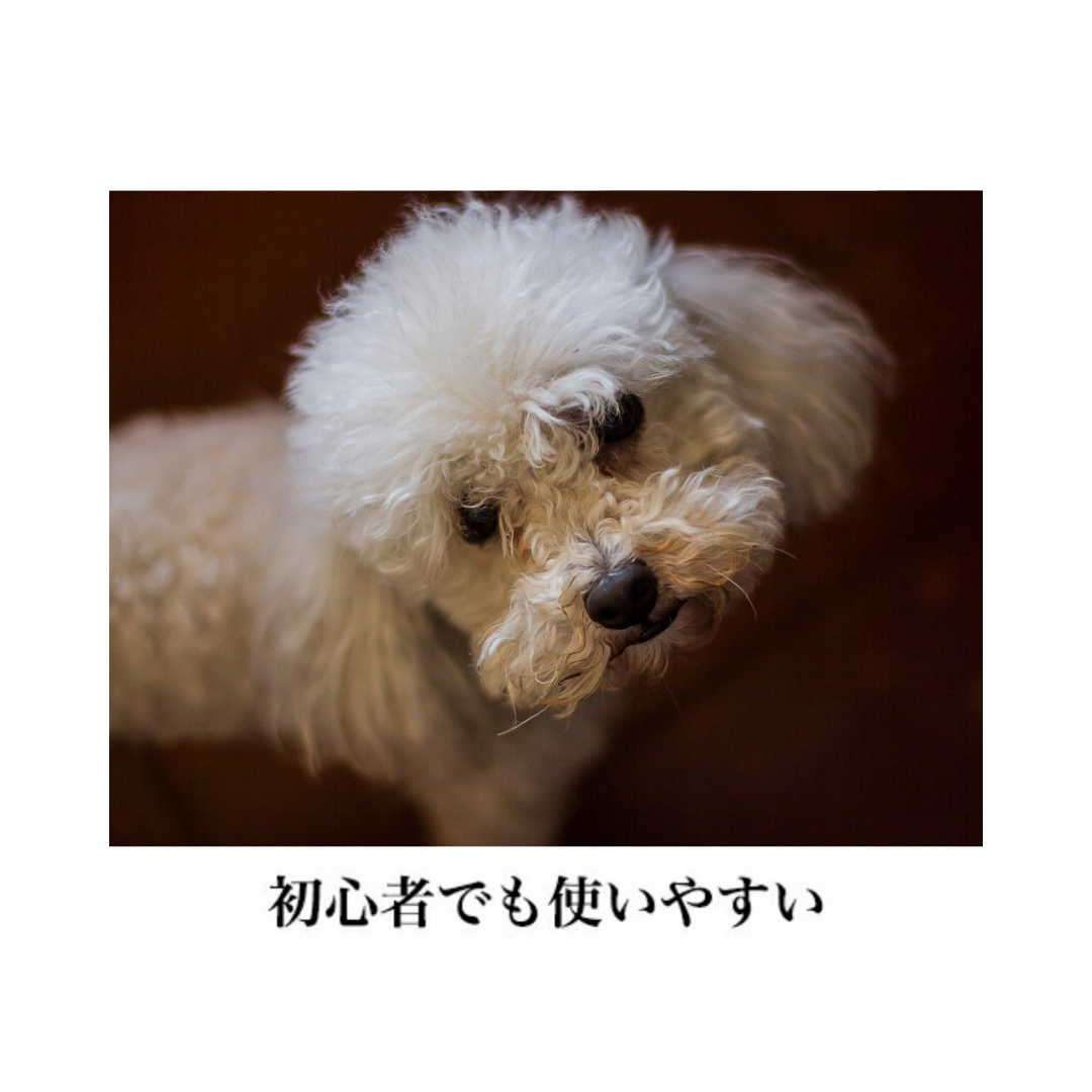 両面スリッカーSMALL