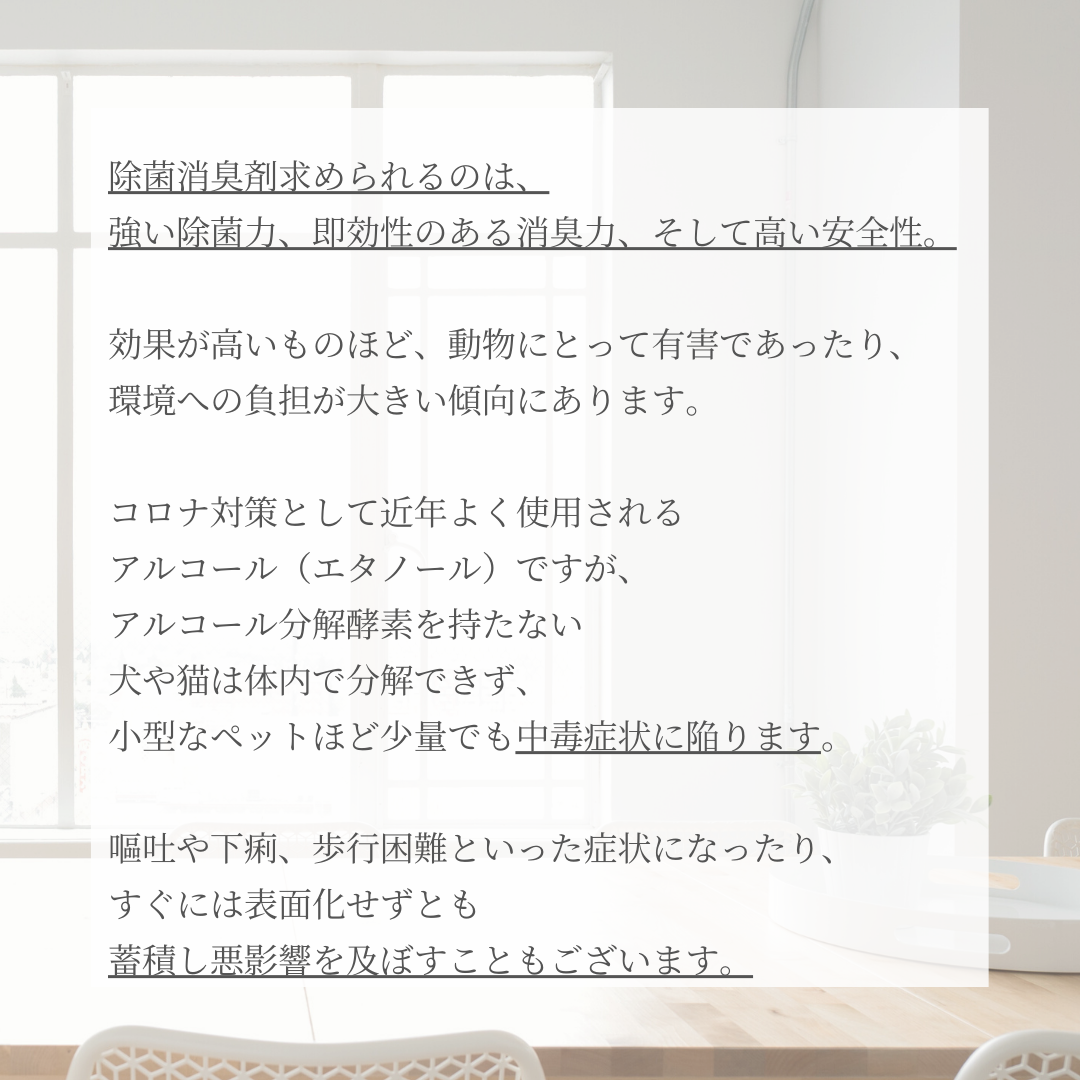 超音波噴霧器 Rebirth