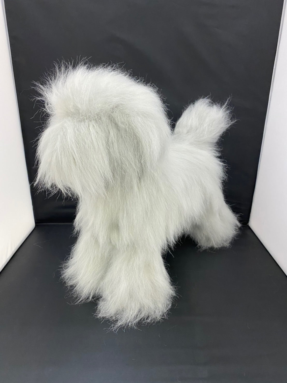 KISS モデルドッグ トイプードル フルボディ