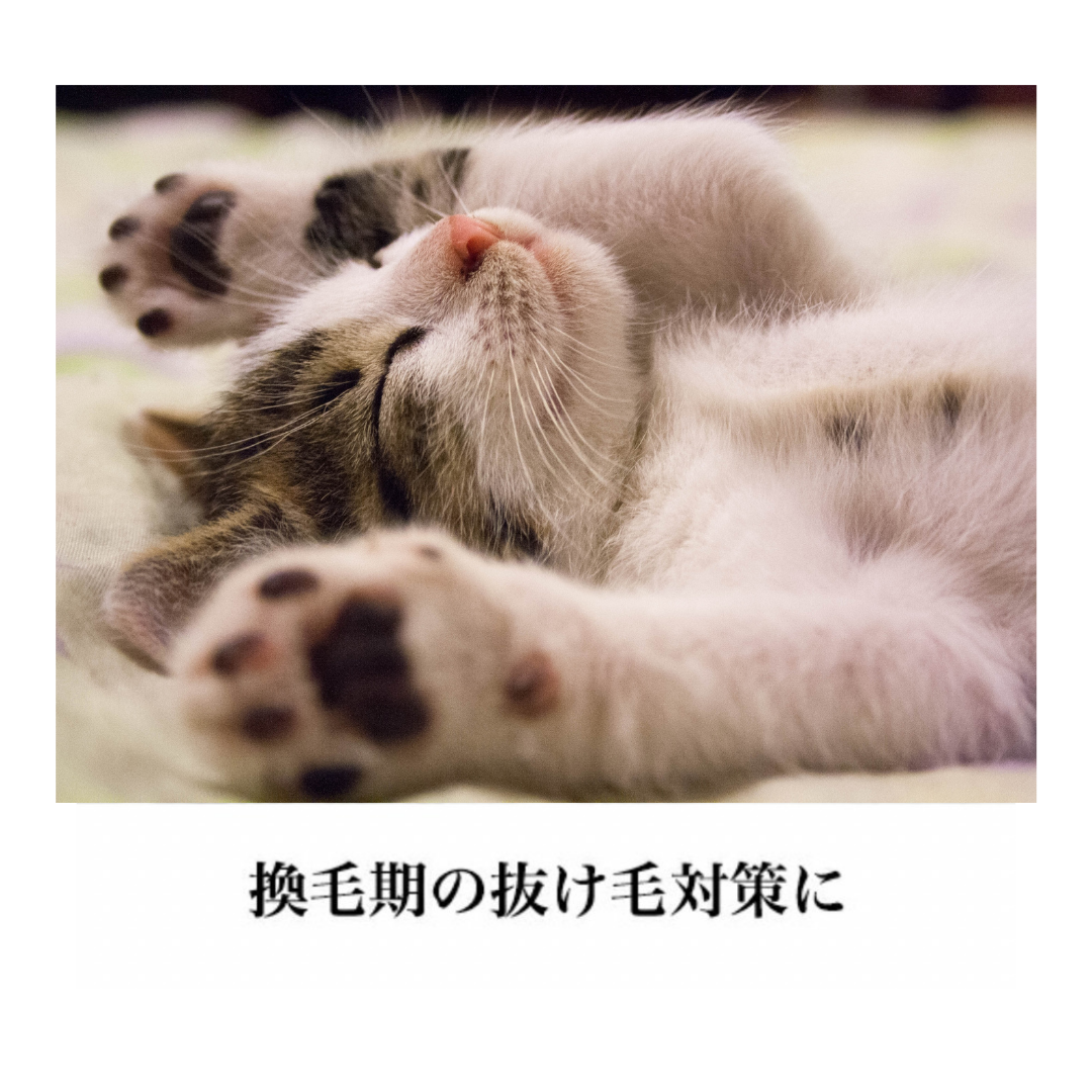 コンパックスリッカー