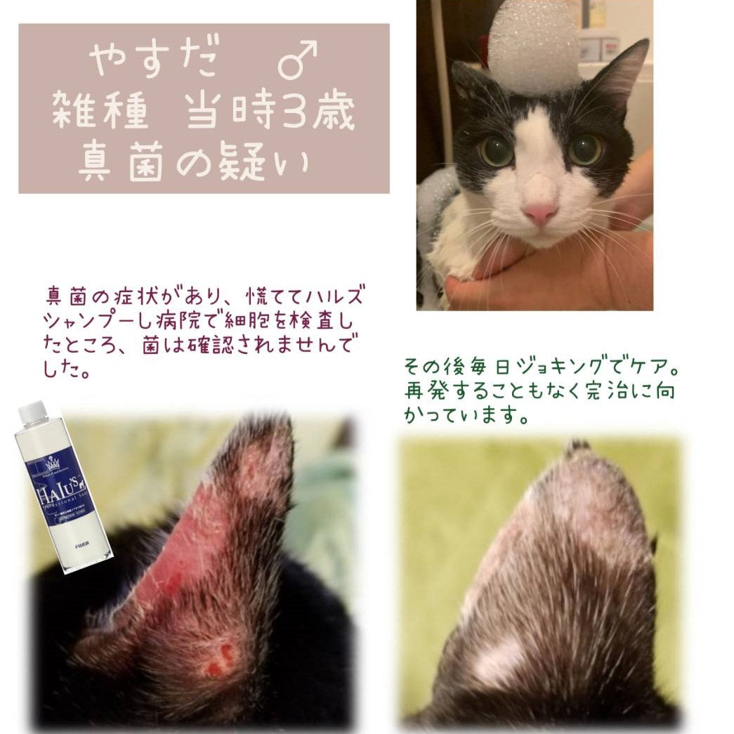 皮膚ケアトライアルセット<送料無料>