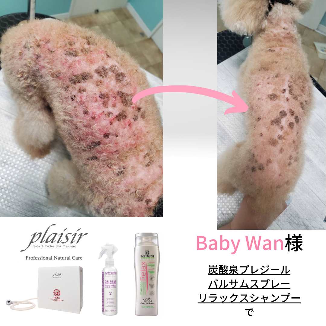 リラックスシャンプー