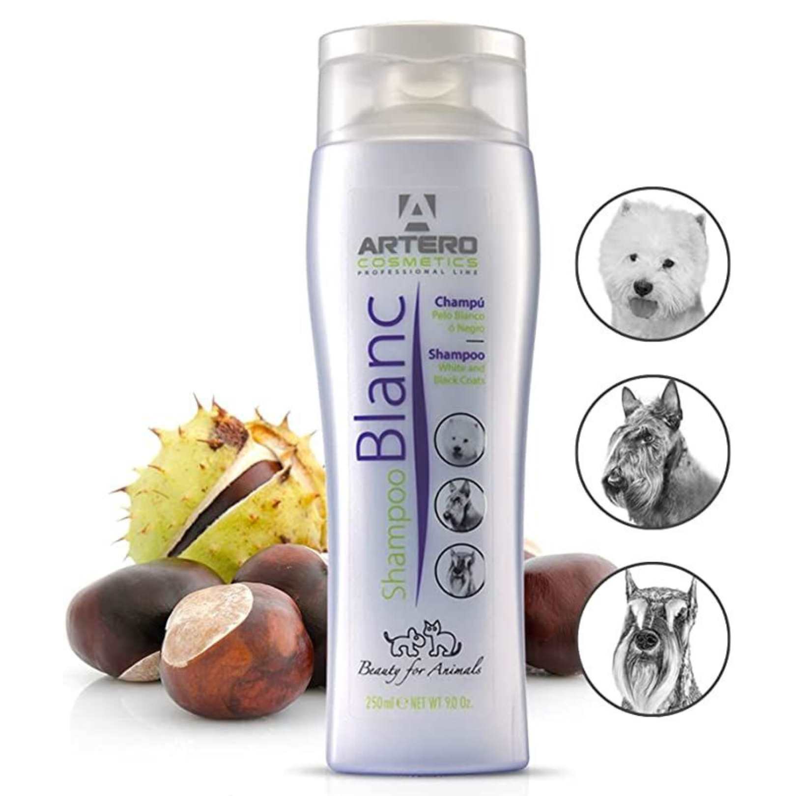 ブランシャンプー