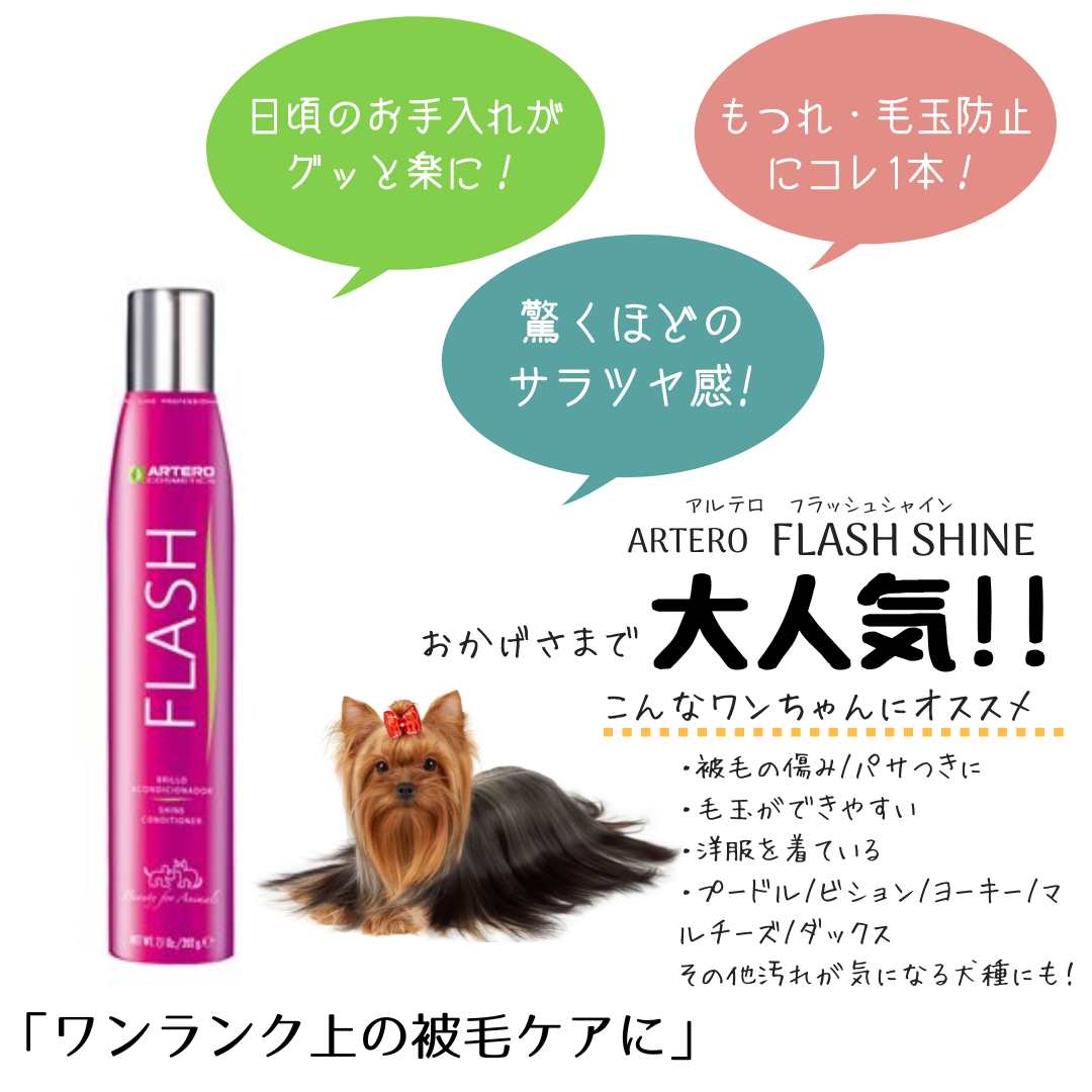 フラッシュシャイン300ml