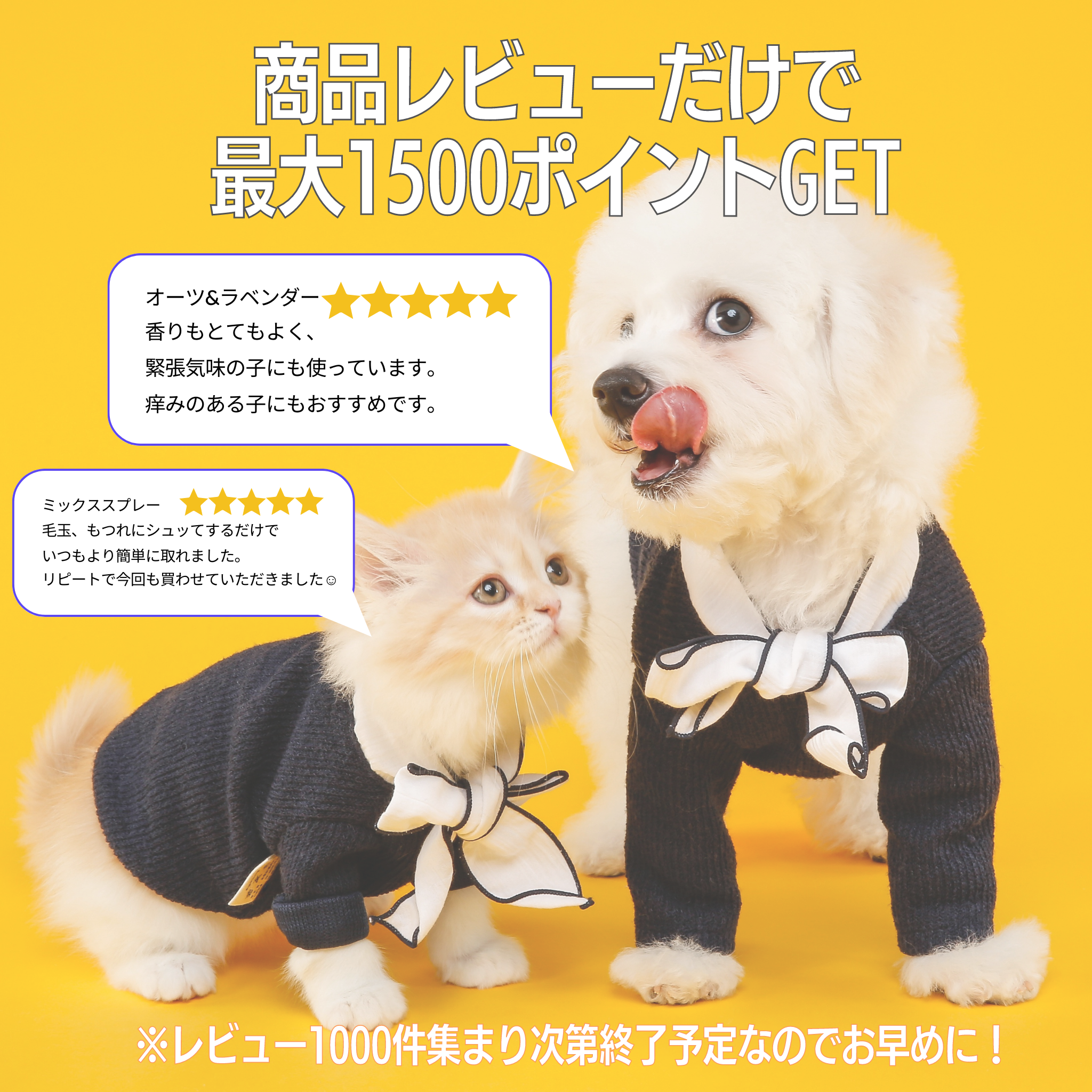 商品レビューで最大1500ポイントGET!