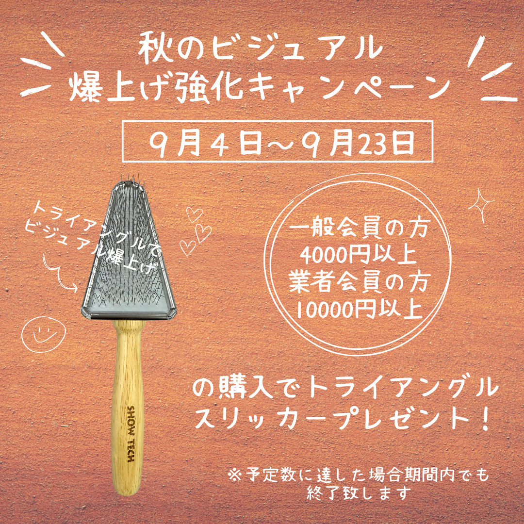 秋のビジュアル爆上げキャンペーン！