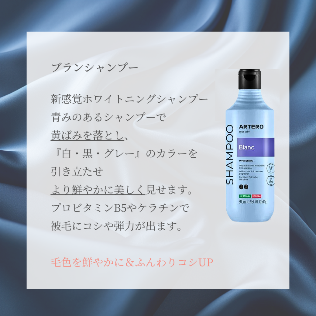 ブランシャンプー
