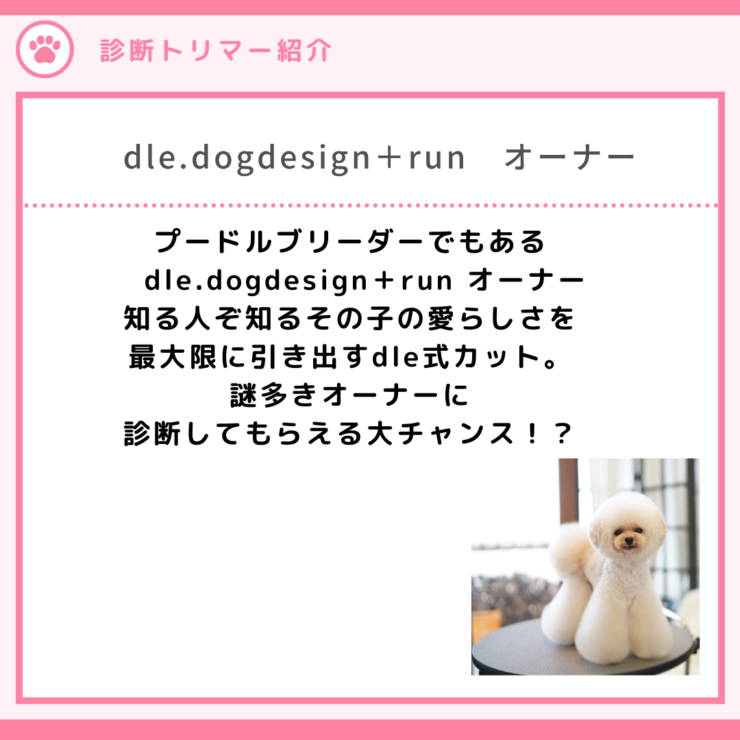 インターペット4/4【dle dogdesign＋run オーナー】お手入れ診断事前予約（カード払いのみ）