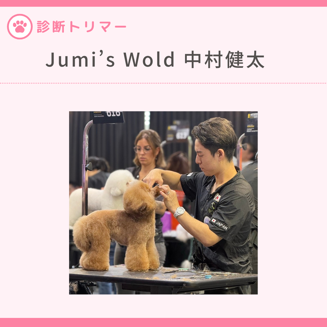 インターペット4/5【Jumi’ｓWould中村健太】お手入れ診断事前予約（カード払いのみ）