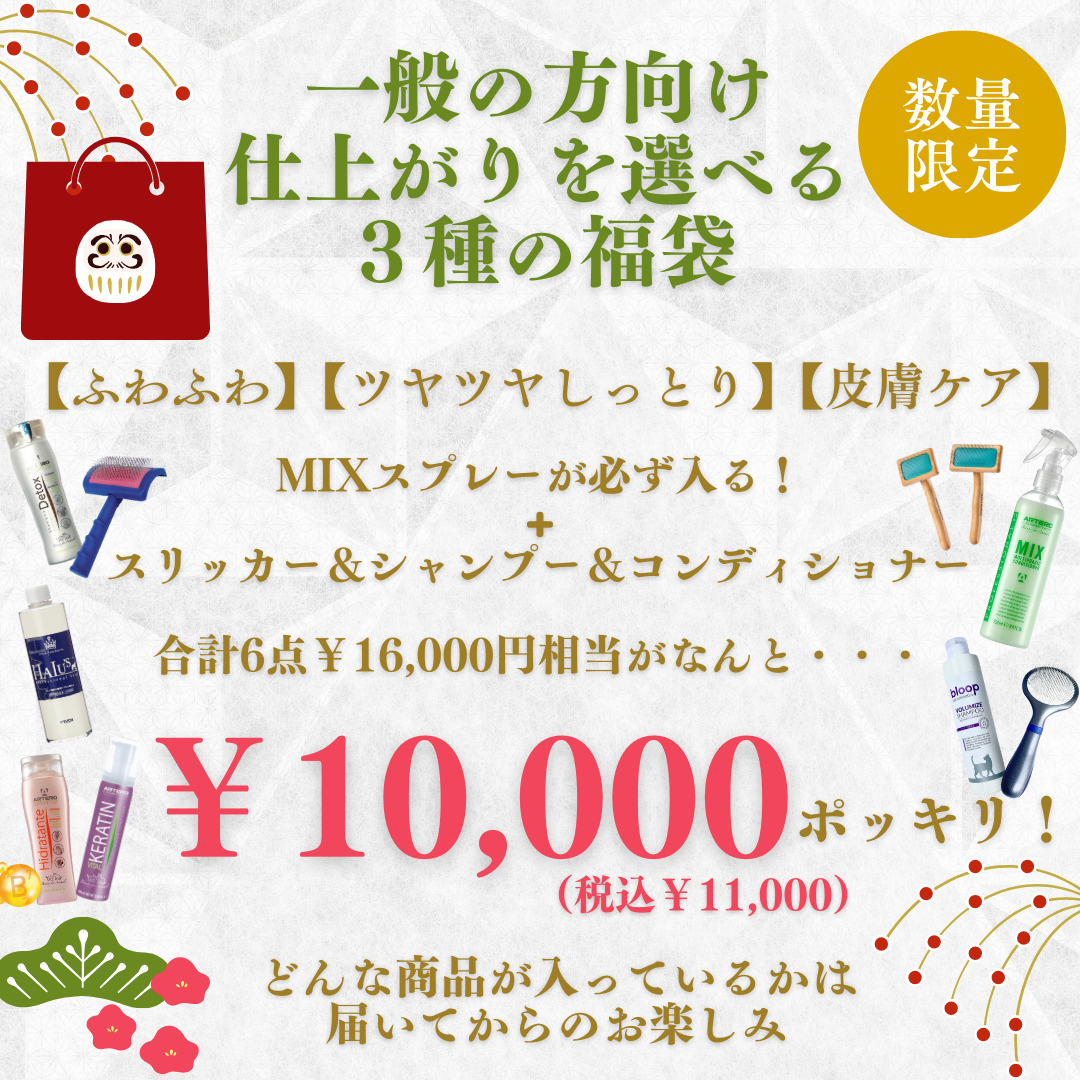 新春福袋2025年【一般様向け福袋】※数量限定先着順※