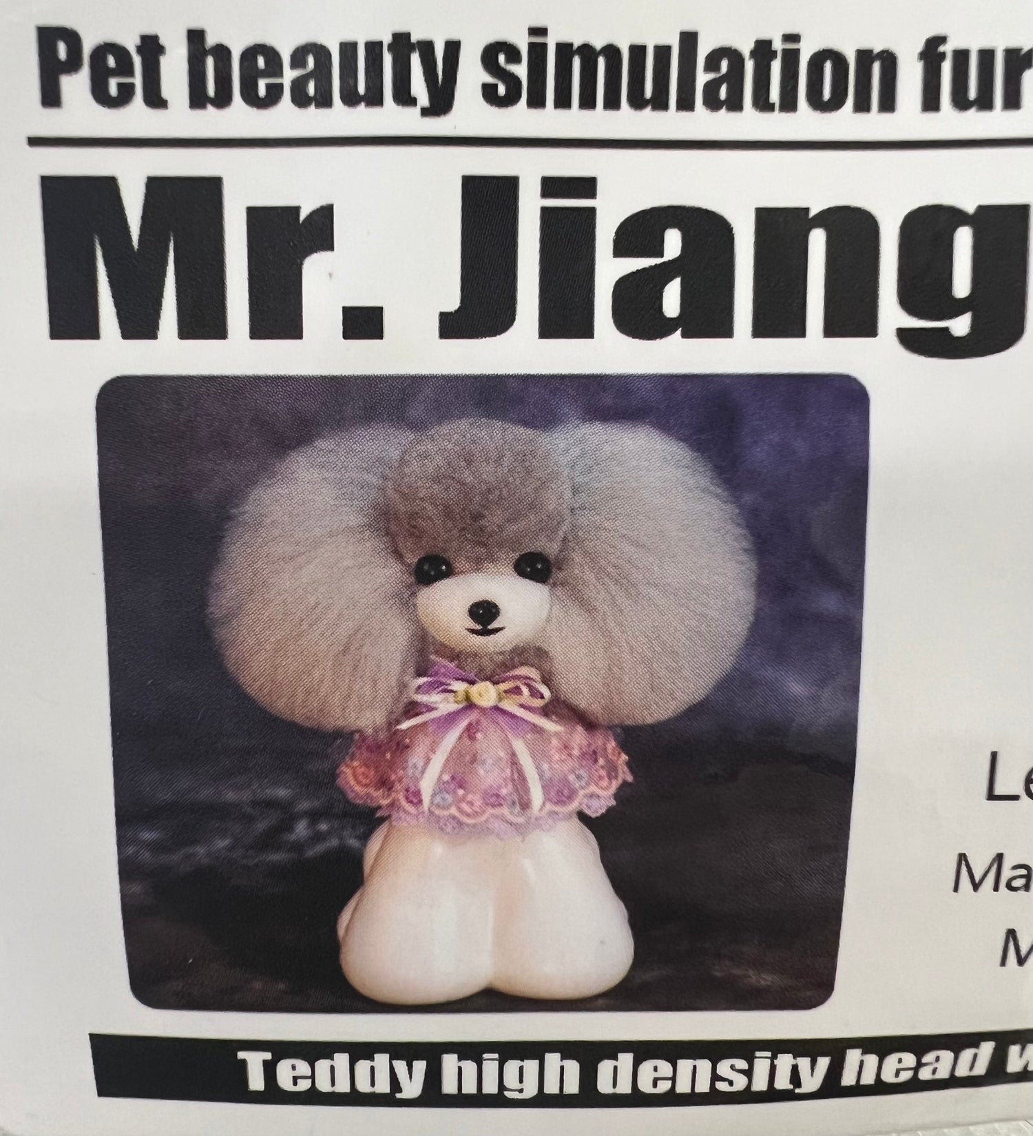 Mr.Jiang モデルドッグ トイプードル ヘッド – PLUCK Mr.Jiang モデルドッグ トイプードル ヘッド – PLUCK