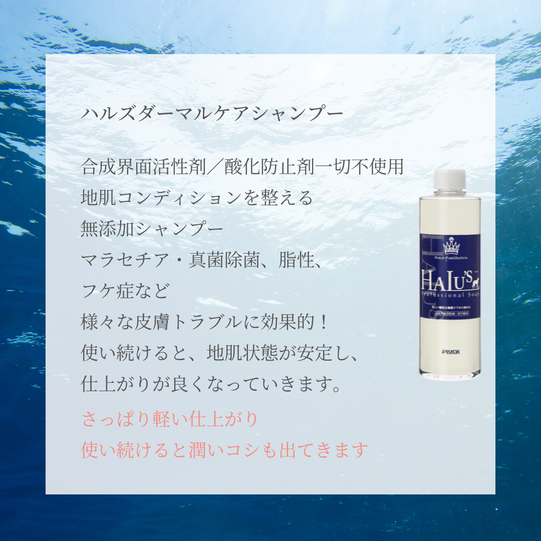 ハルズダーマルケアシャンプー – PLUCK ハルズダーマルケアシャンプー – PLUCK